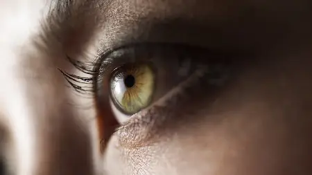 AI captures human personality