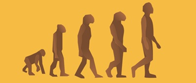 Theory of evolution